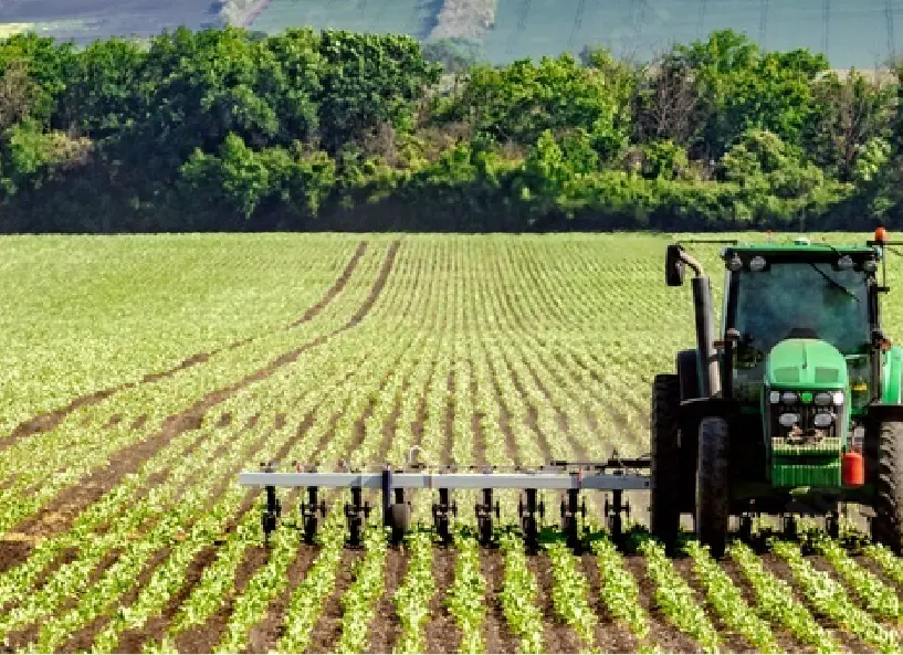 La belleza del Delta del Ebro desde el cielo: arrozales que alimentan y capturan CO₂